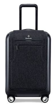 Bluesmart