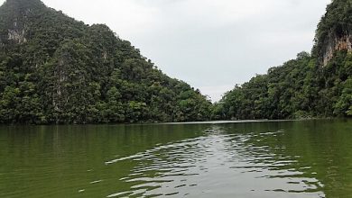 Pulau Dayang Bunting