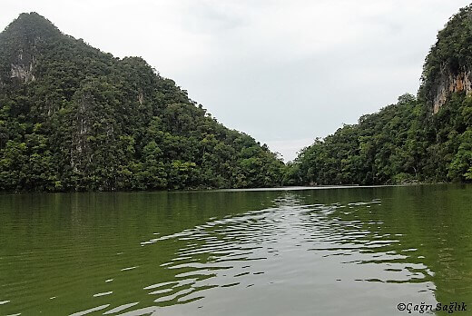 Pulau Dayang Bunting