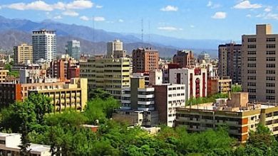Mendoza-turrehberin