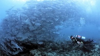 Sipadan