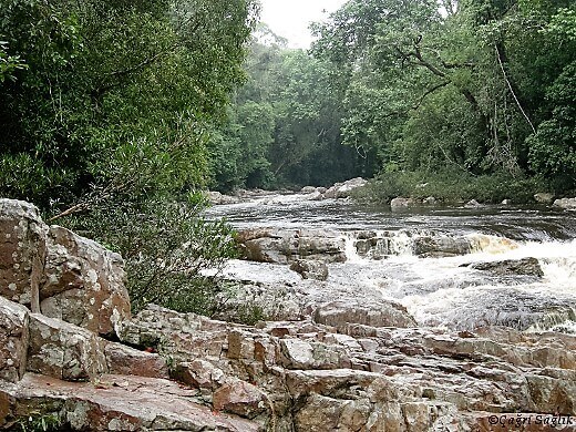 Taman Negara