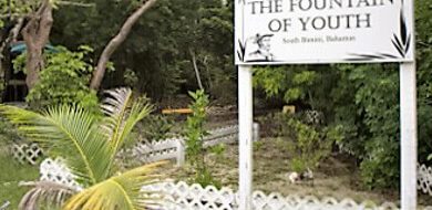 Bimini
