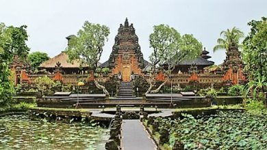 Bali Ubud Monkey Forest