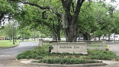 Audubon Zoo