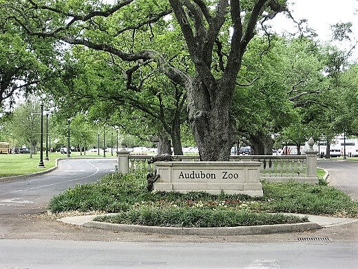 Audubon Zoo