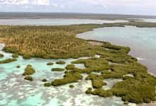 Parque Nacional Del Este