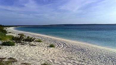 Bahia de las Aguilas