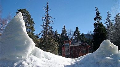 Borovets