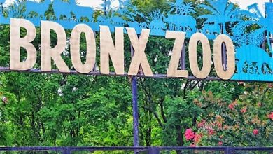 Bronx Zoo