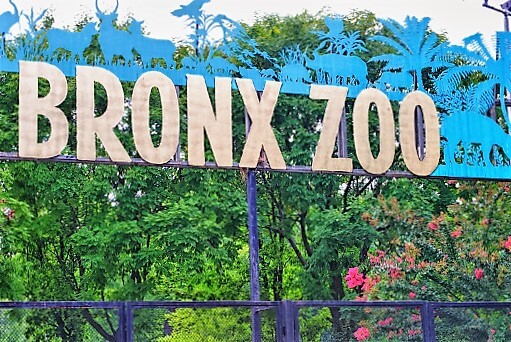 Bronx Zoo