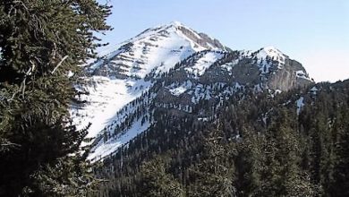 Mount Charleston