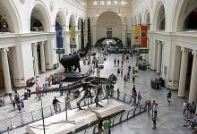 Field Museum