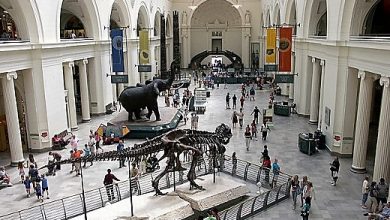 Field Museum
