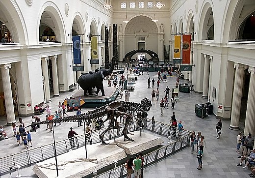 Field Museum