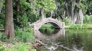 New Orleans City Park