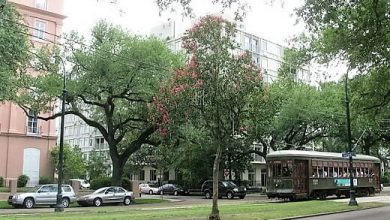 Garden District