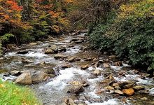 Great Smoky Mountains