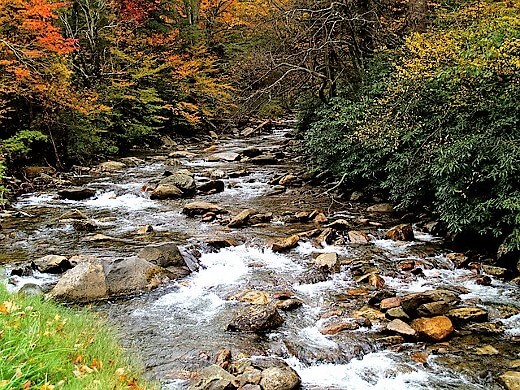 Great Smoky Mountains