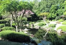 Brisbane Botanic Gardens