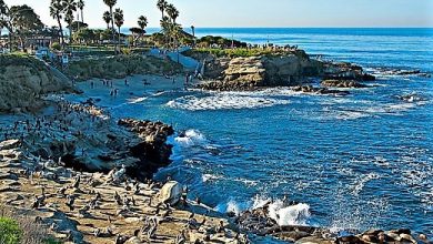 La Jolla Cove