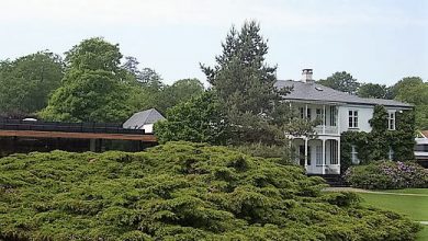 Louisiana Modern Sanat Müzesi