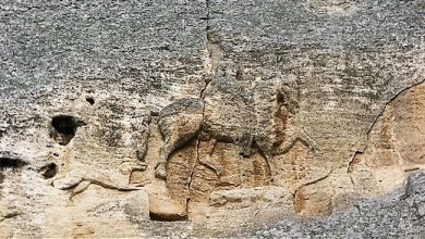 Madara Binicisi