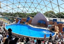 Seaquarium