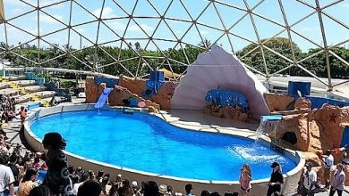 Seaquarium