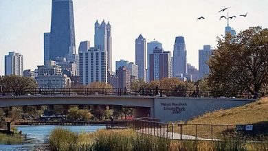 Lincoln Park ve Hayvanat Bahçesi