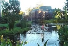 Norton Simon Müzesi
