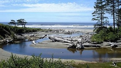 Olimpik Milli Parkı