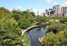 Roma Street Parklands
