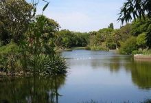 Royal Botanic Garden