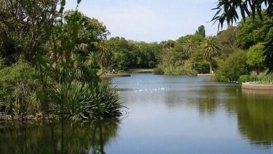 Royal Botanic Garden