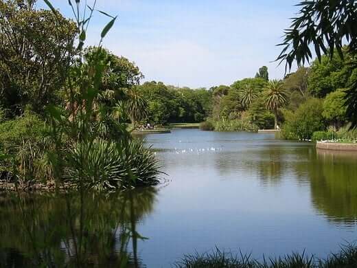 Royal Botanic Garden