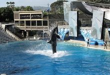 Sea World San Diego