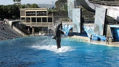 Sea World San Diego