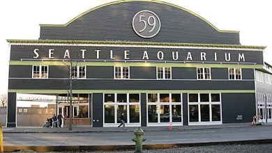 Seattle Aquarium
