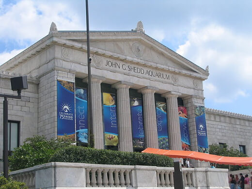 Shedd Aquarium