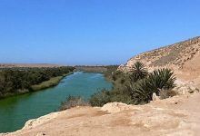 Souss Massa Milli Parkı