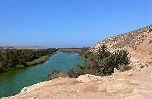 Souss Massa Milli Parkı