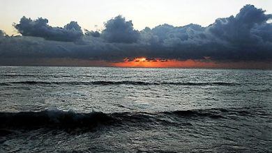 Sunset Cliffs Natural Park