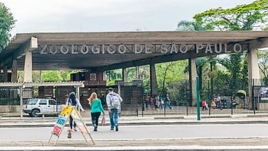 Parque Zoologica