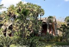 Sitio Roberto Burle Marx