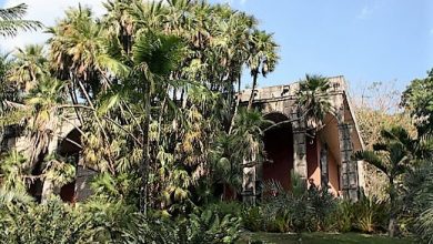 Sitio Roberto Burle Marx