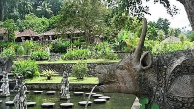 Tirta Gangga