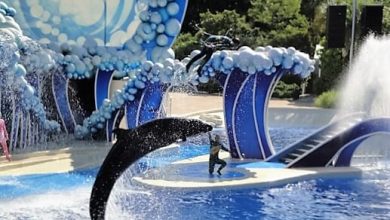 Sea World Orlando