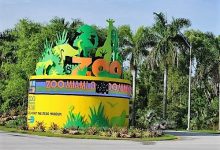 Zoo Miami