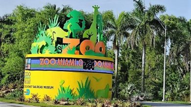 Zoo Miami